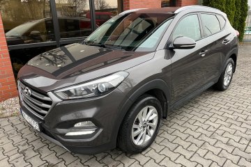 1.6 benzyna / 132 KM / 6 biegów / salon Polska / zadbany / zamiana