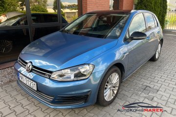 1.4 benzyna / 122 KM / 6 biegów / zarejestrowany w PL / zamiana