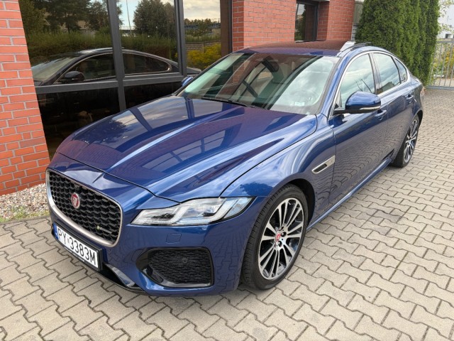 jaguar